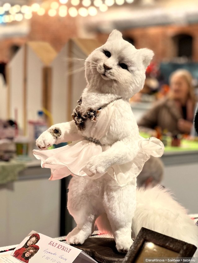 Бал кукол в Севкабеле: существа