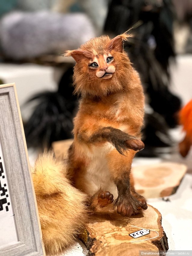 Бал кукол в Севкабеле: существа