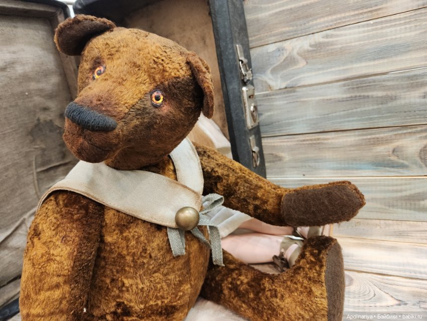 Бернхард – отважный медведь (фото 9)