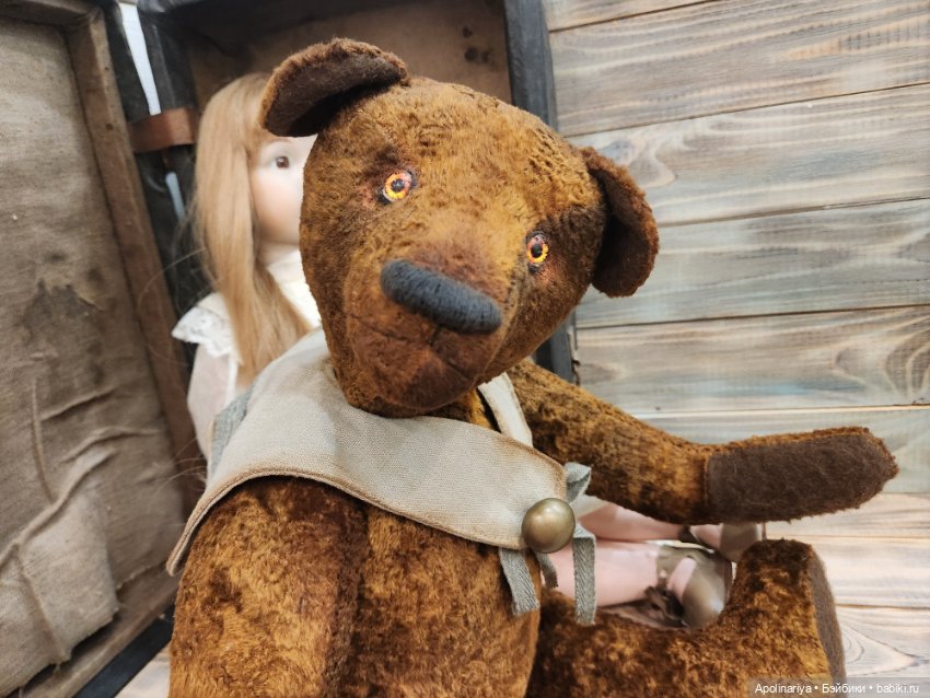 Бернхард – отважный медведь (фото 10)