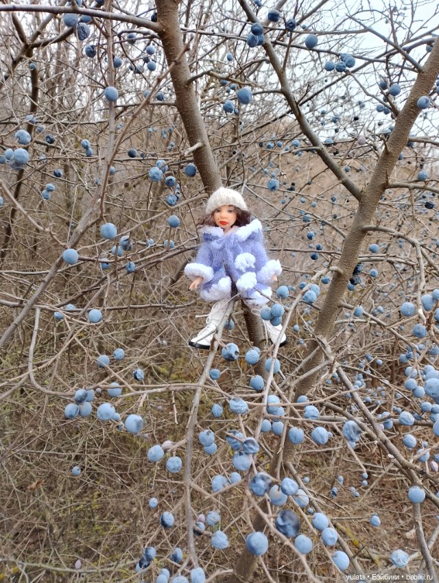 Осенью за городом — Домашние фото авторских кукол: личные коллекции (фото 7)