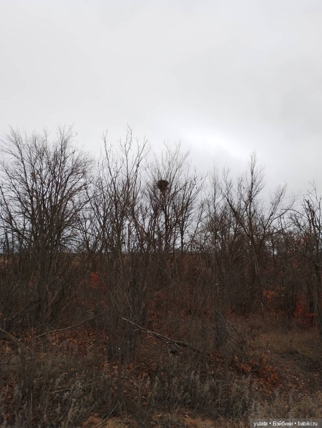 Осенью за городом — Домашние фото авторских кукол: личные коллекции (фото 5)
