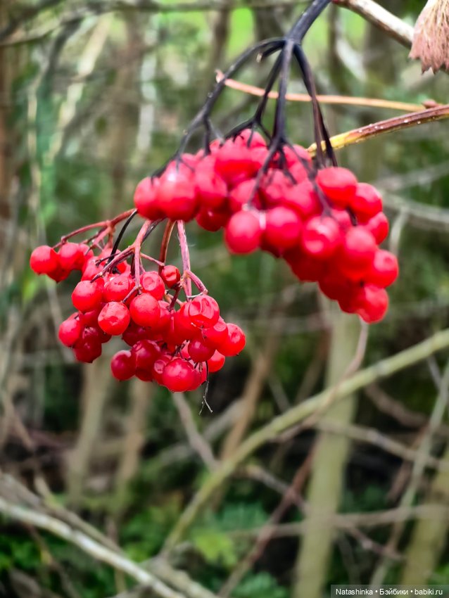 Музыкальная История 170 — Туризм и путешествия: фотоотчеты из поездок