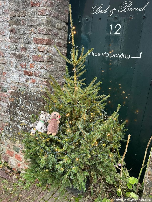 Музыкальная История 170 — Туризм и путешествия: фотоотчеты из поездок