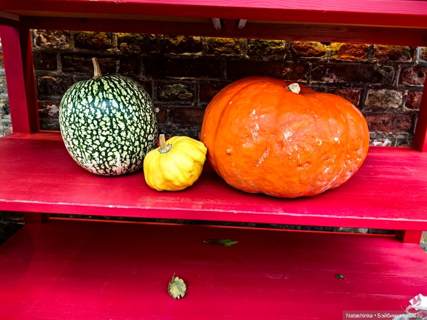 Музыкальная История 170 — Туризм и путешествия: фотоотчеты из поездок