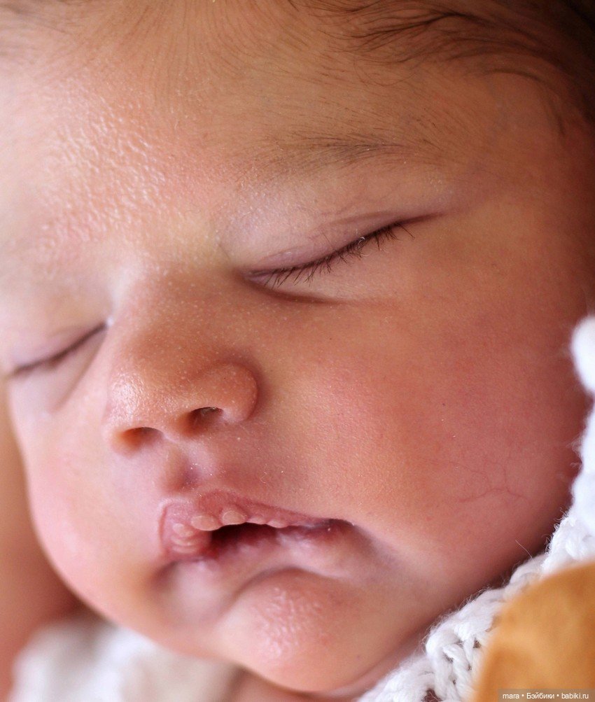 Alessandro скульптора Cassie Ann Brace, автор прототипа Veronica Lale (фото 4)