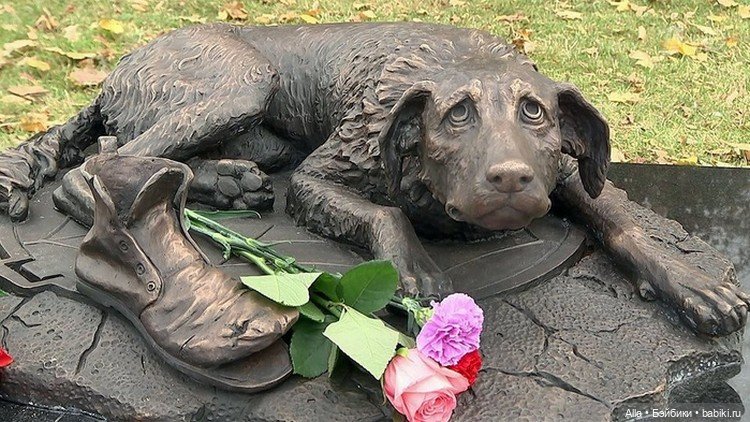 Памятник бездомным животным