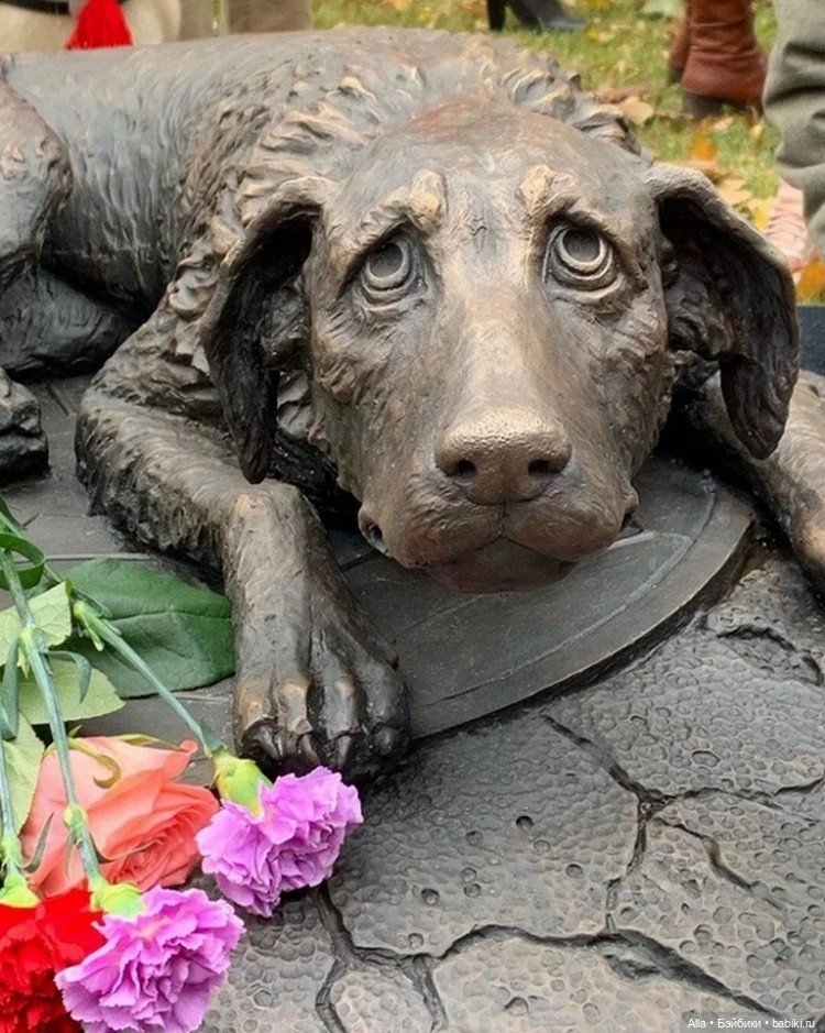 Памятник бездомным животным (фото 4)