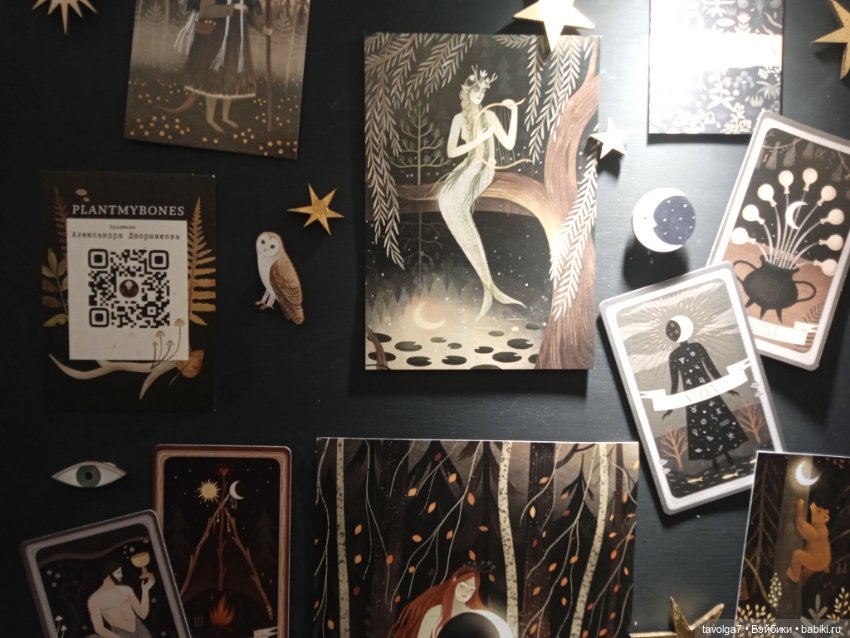 "Керамания" - "Ceramania" ноябрь 2024