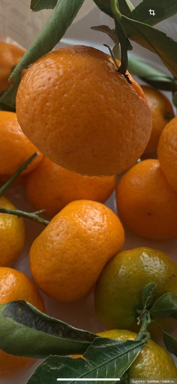 Предновогоднее настроение (фото 6)