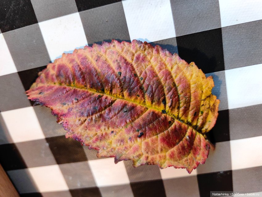 Музыкальная История, 171 — Туризм и путешествия: фотоотчеты из поездок (фото 5)