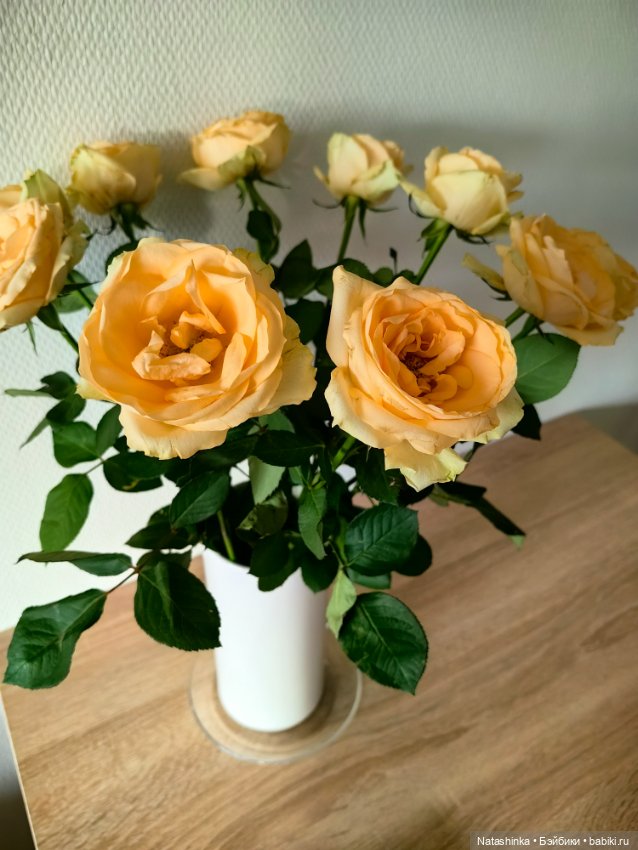 Музыкальная История, 171 — Туризм и путешествия: фотоотчеты из поездок (фото 9)