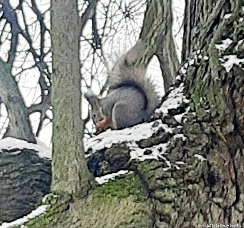 Летти, прогулка — Куклы и тела UFdoll (ЮФдолл): Blind Box (фото 5)