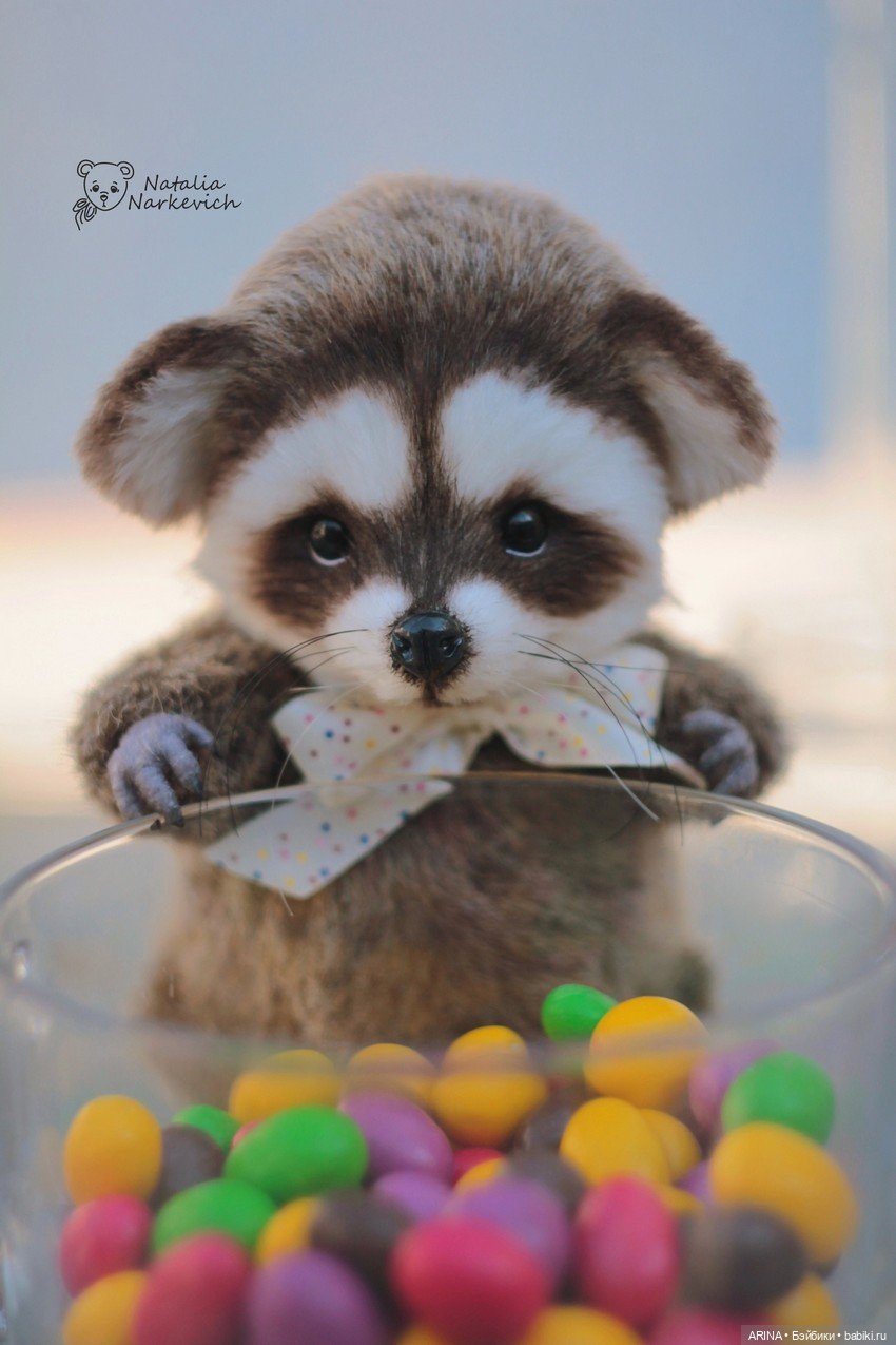 Мишки Тедди Натальи Наркевич