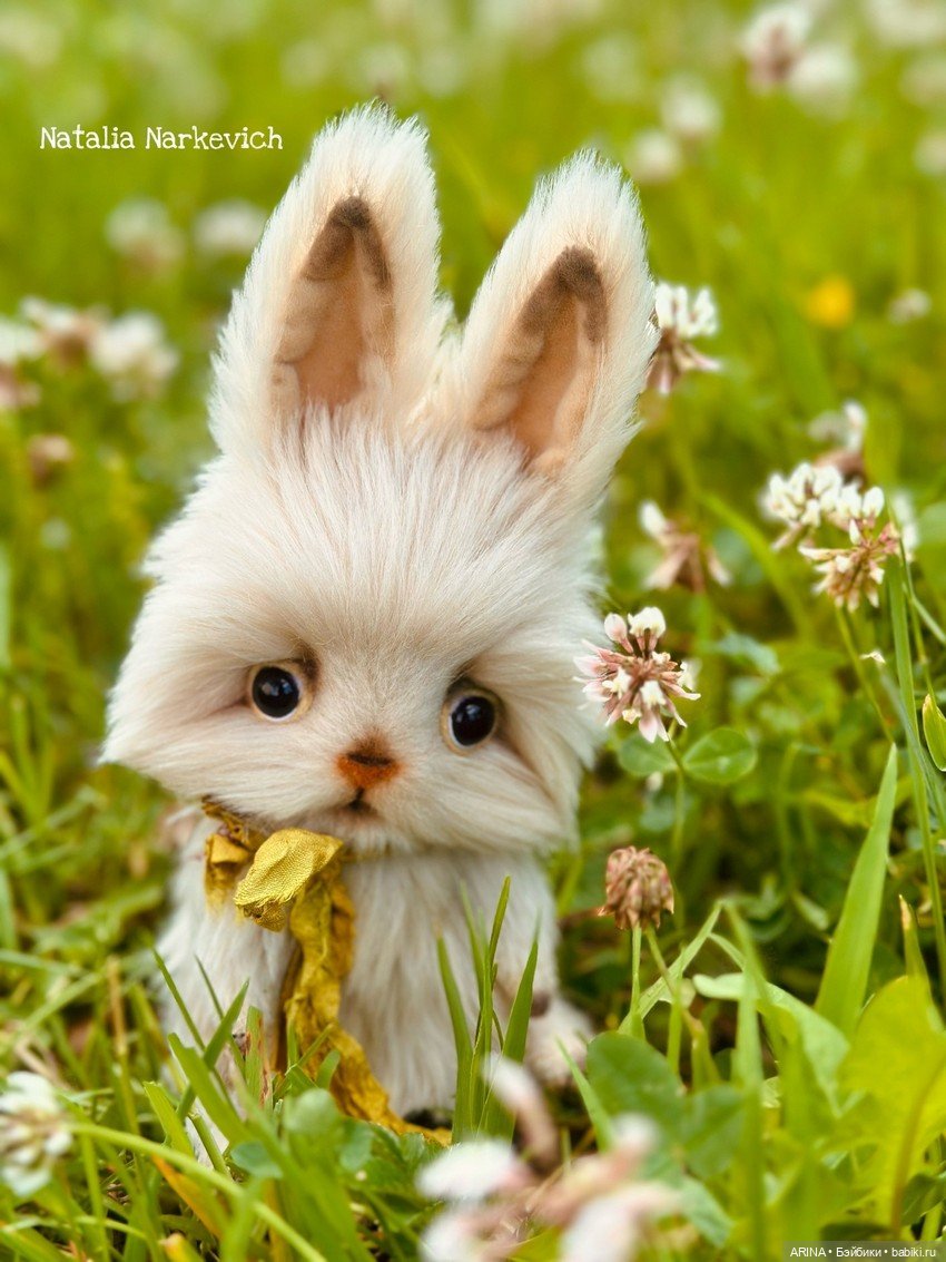 Мишки Тедди Натальи Наркевич