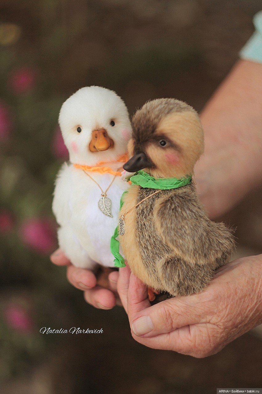 Мишки Тедди Натальи Наркевич