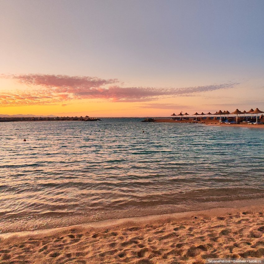 Ясмин в Африке — Куклы Dart dolls (Анна Шиткина): российские BJD (БЖД) (фото 3)