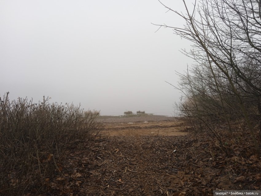 Моль, туман, парк Дубки — Туризм и путешествия: фотоотчеты из поездок