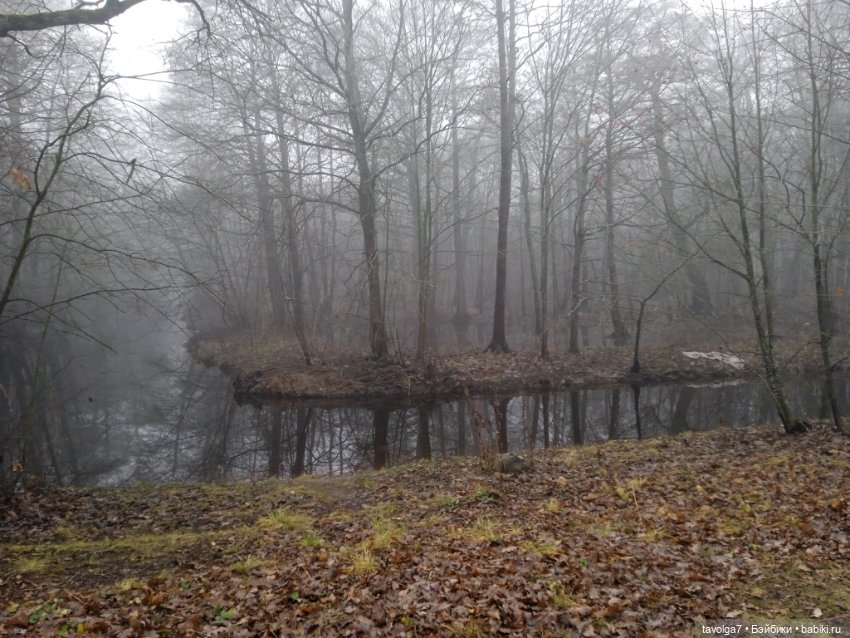 Моль, туман, парк Дубки — Туризм и путешествия: фотоотчеты из поездок (фото 7)