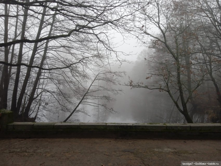Моль, туман, парк Дубки — Туризм и путешествия: фотоотчеты из поездок (фото 8)