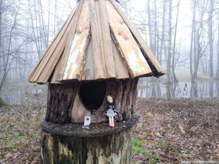 Моль, туман, парк Дубки — Туризм и путешествия: фотоотчеты из поездок (фото 4)