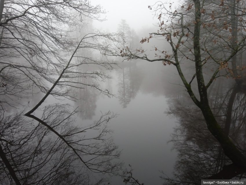 Моль, туман, парк Дубки — Туризм и путешествия: фотоотчеты из поездок (фото 10)