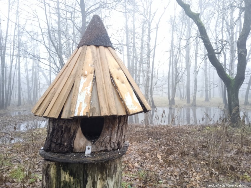 Моль, туман, парк Дубки — Туризм и путешествия: фотоотчеты из поездок (фото 5)