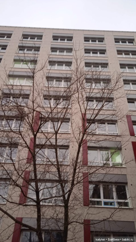 Кураж и великие путешественники (фото 7)