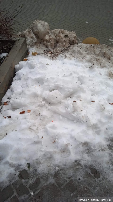 Кураж и великие путешественники