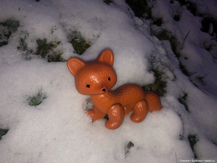 Невиданный зверь из сибирских лесов (фото 3)