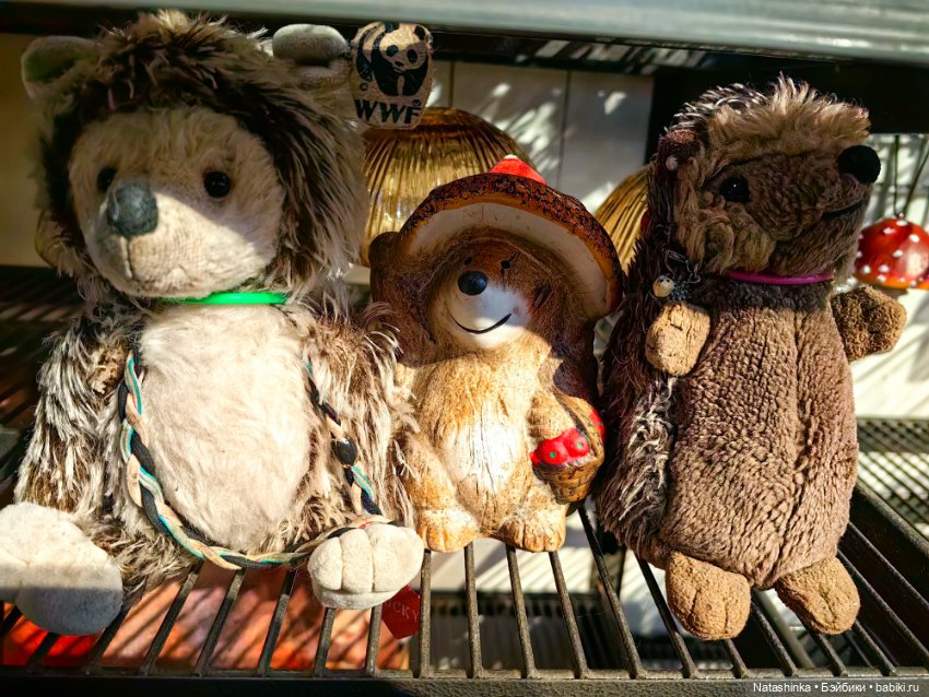 Музыкальная История, 172 — Туризм и путешествия: фотоотчеты из поездок (фото 5)