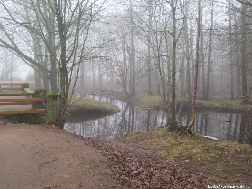 Моль, туман, парк Дубки - 2 (фото 9)