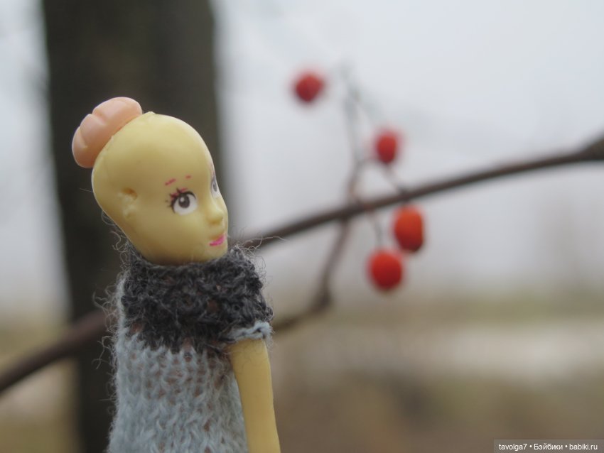 Моль, туман, парк Дубки - 2