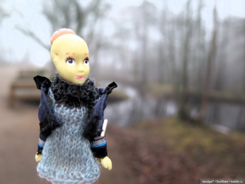 Моль, туман, парк Дубки - 2