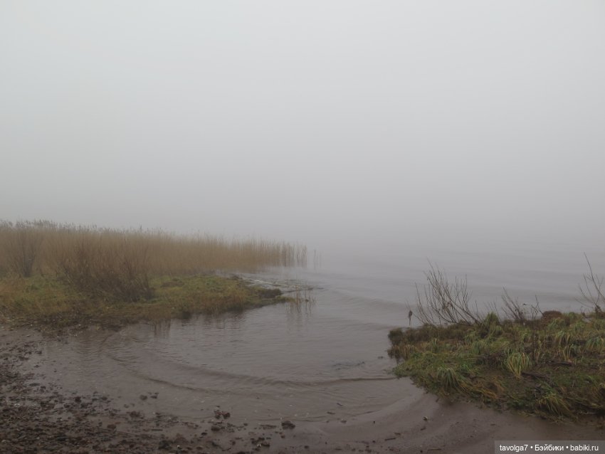 Моль, туман, парк Дубки - 2