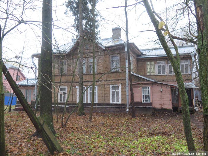 Моль, туман, парк Дубки - 2