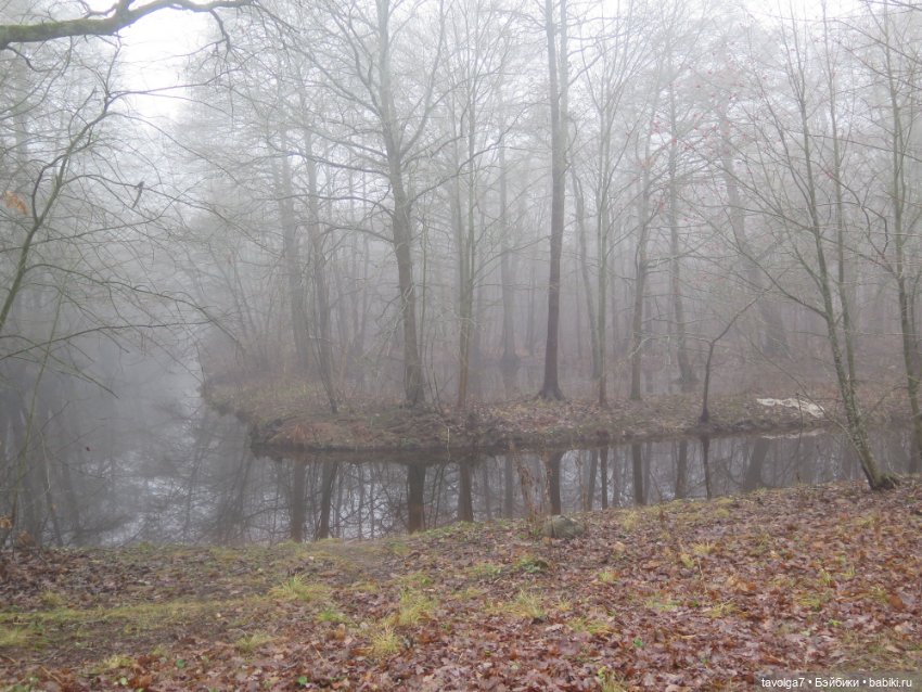 Моль, туман, парк Дубки - 2 (фото 6)
