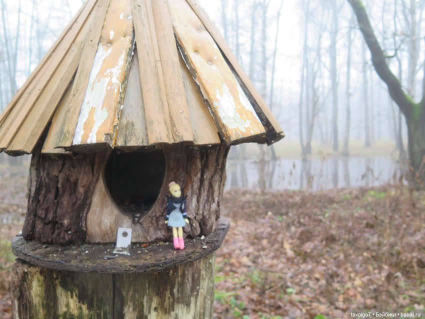 Моль, туман, парк Дубки - 2 (фото 2)