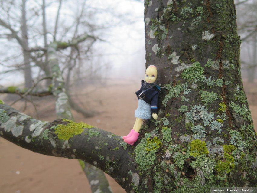 Моль, туман, парк Дубки - 2