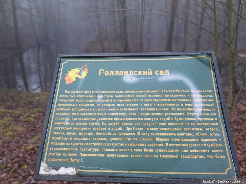 Моль, туман, парк Дубки - 2 (фото 7)