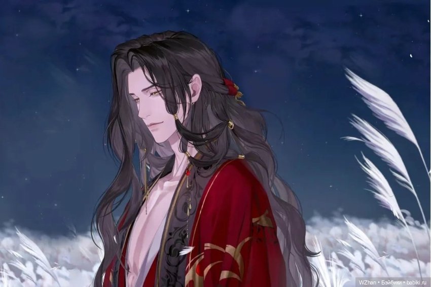 Чибик Лю Бянь — Разные шарнирные куклы (не БЖД): редкие