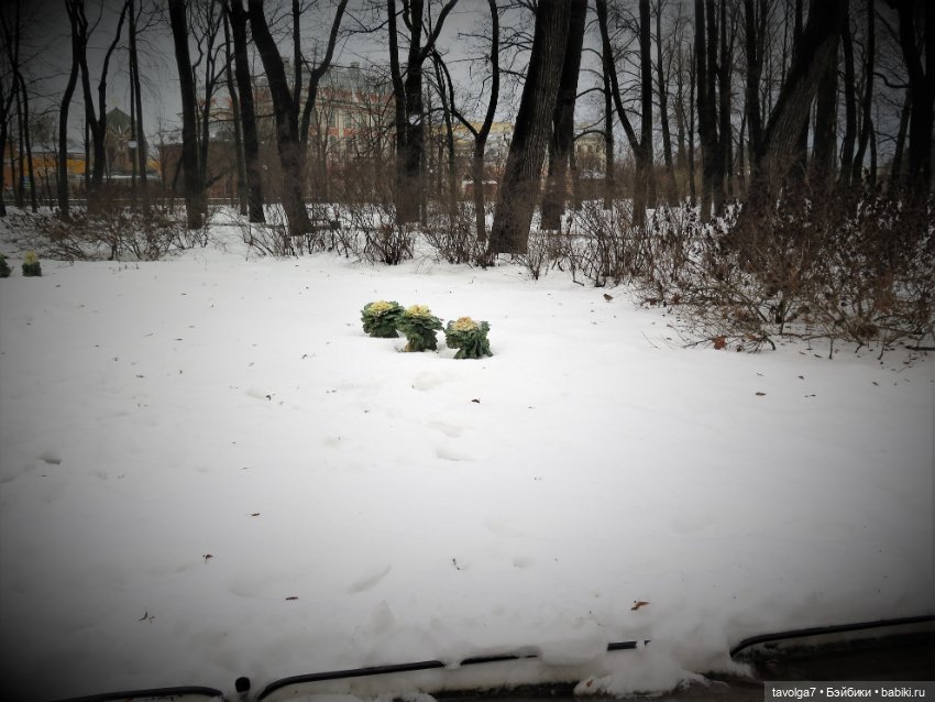 "Вот, и зима, с надеждой..." (фото 7)