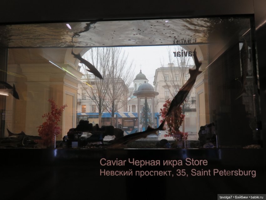 "Вот, и зима, с надеждой..."