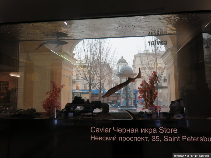 "Вот, и зима, с надеждой..."