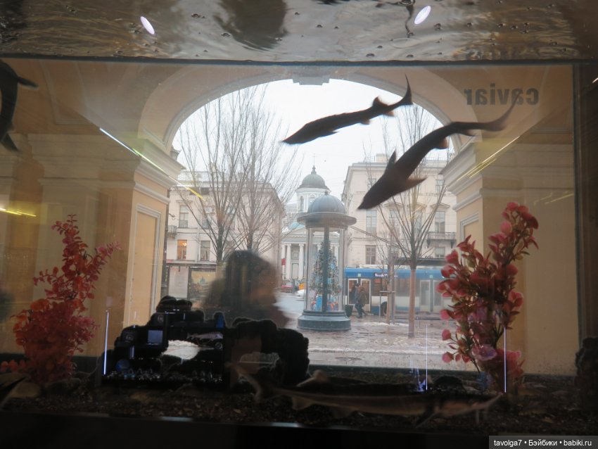 "Вот, и зима, с надеждой..."