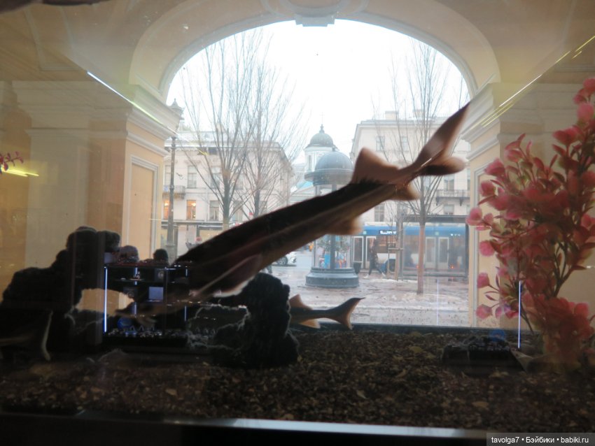 "Вот, и зима, с надеждой..."