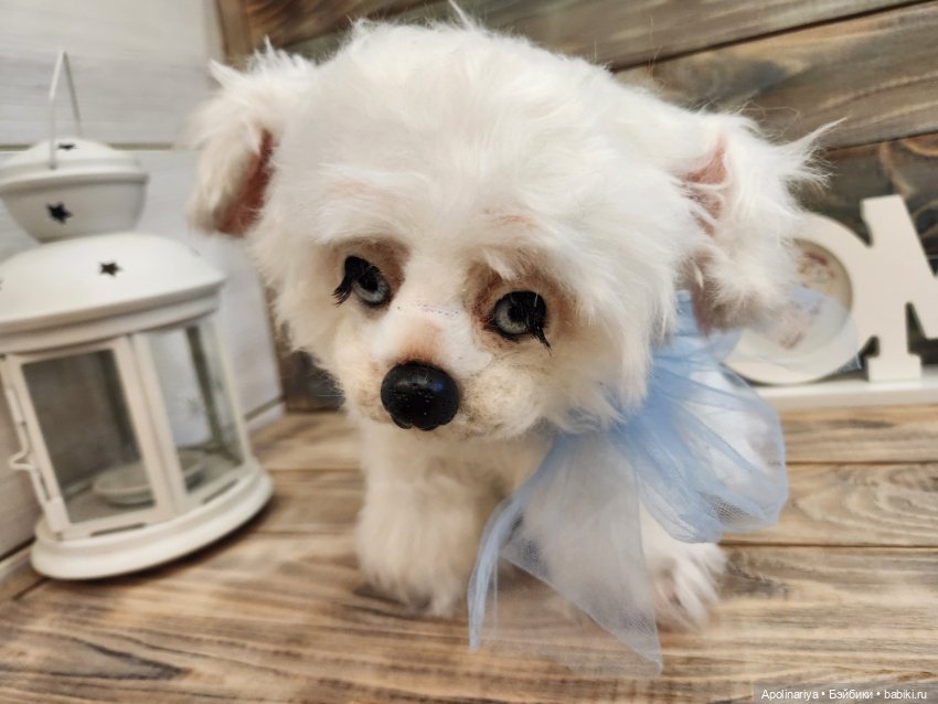 Барфи-белый щенок — Авторские мишки Тедди и друзья: фото