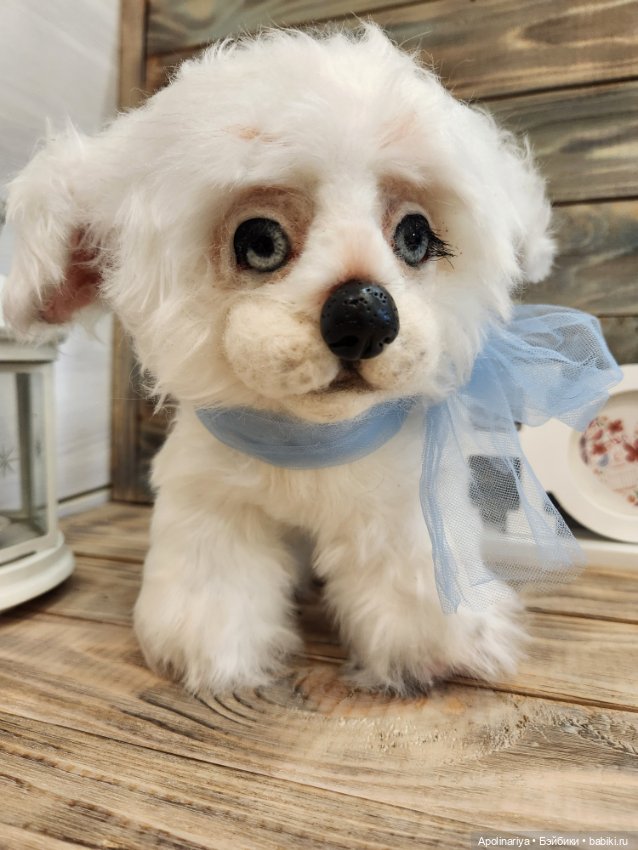 Барфи-белый щенок — Авторские мишки Тедди и друзья: фото