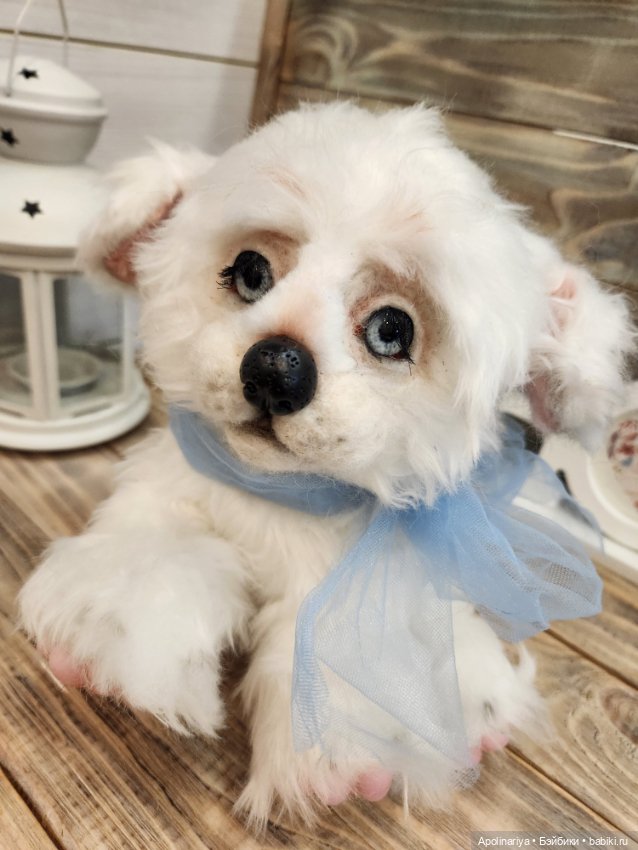 Барфи-белый щенок — Авторские мишки Тедди и друзья: фото