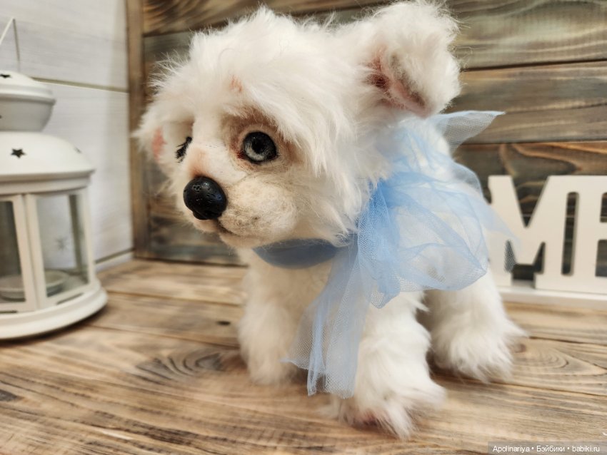 Барфи-белый щенок — Авторские мишки Тедди и друзья: фото